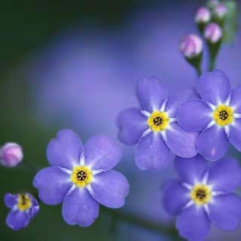 东风居委会七月楼道整治“零堆物”