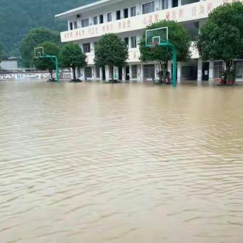 暴雨突袭，校园骤变！