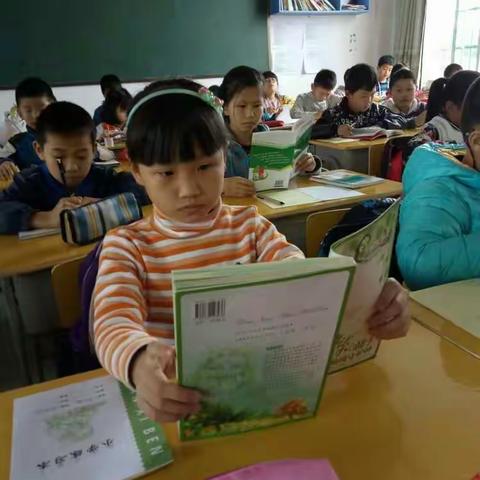 你不负书，书必不负你一一实验小学四(12)班