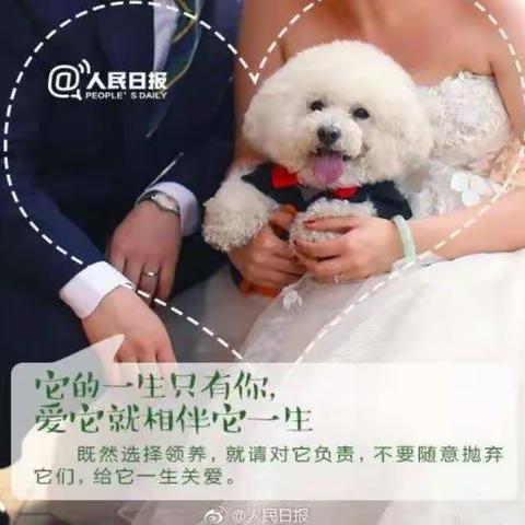 汉华中城物业倡议┃做文明养犬人,创文明城市！