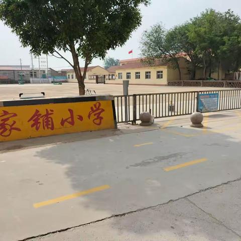 提技能   创高效——汪家铺小学信息技术培训