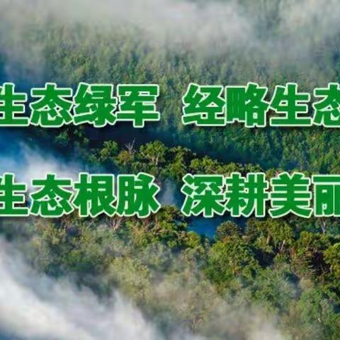 空港新城开展湿地和野生动植物保护休复宣传活动