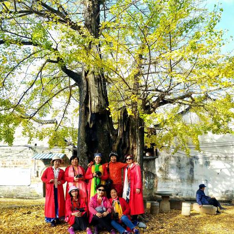 2019.11桂林扫黄、恭城月柿之乡赏柿