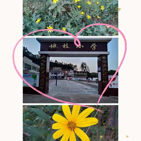 阅读伴我成长——小溪乡桃枝小学阅读活动掠影