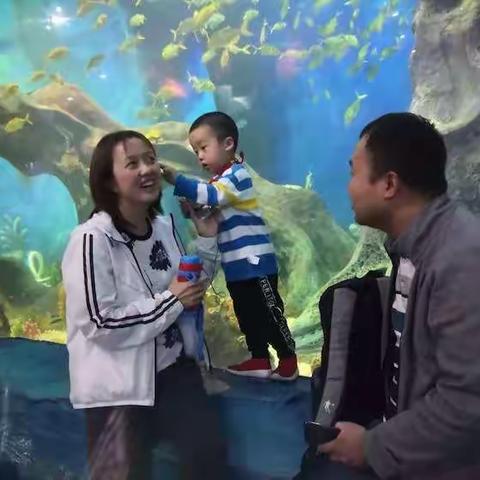 中秋佳节月饼圆  科普知识收获满