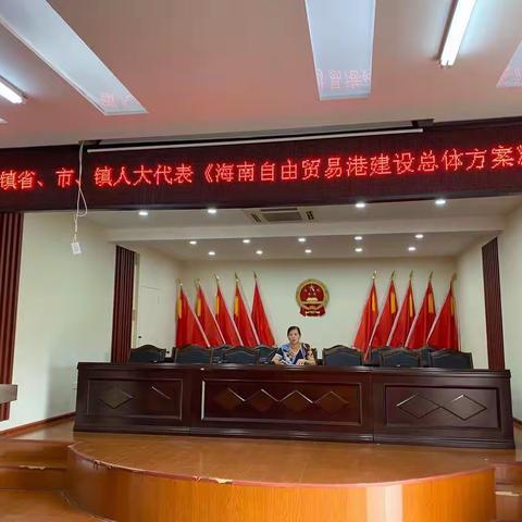 兰洋镇人大组织人大代表举行《海南自由贸易港建设总体方案》重点政策培训