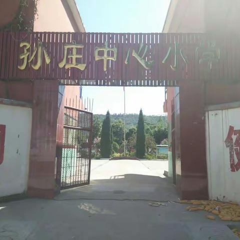 孙庄中心小学业务常规检查