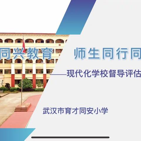 实施同兴教育  师生同行同幸  ——武汉市育才同安小学义务教育现代化学校督导评估纪实