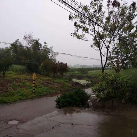 烟雨蒙蒙的故乡