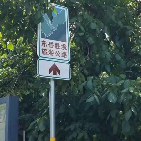 意外发现绝美旅游公路，地上随便捡石花纹巨赞