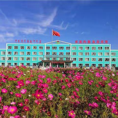 苏尼特右旗第四小学“国培计划（2020）”新入职教师培训总结及汇报课活动