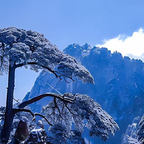 雪霁黄山