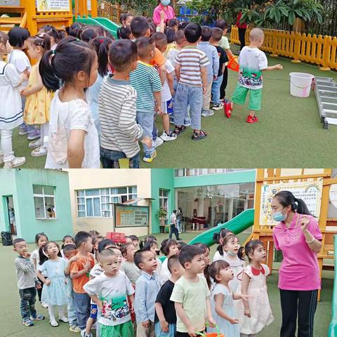 雅安市名山区新智慧幼稚园蒙洱三班生活课堂——枇杷采摘乐