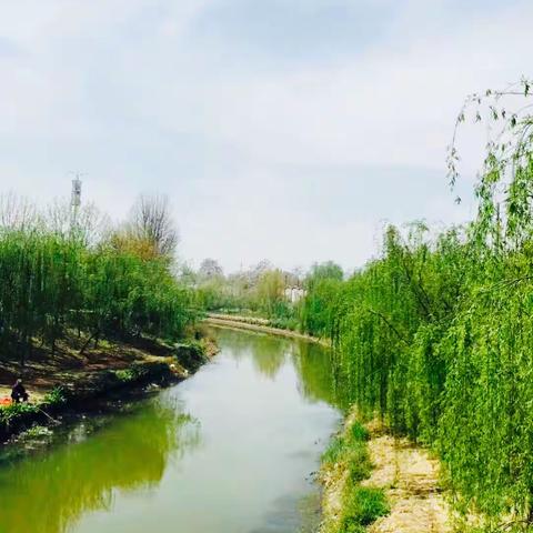 家乡的小河