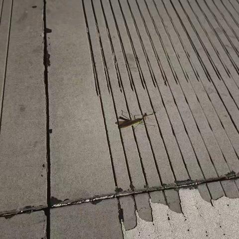 工业设计2202王泽烨的美篇