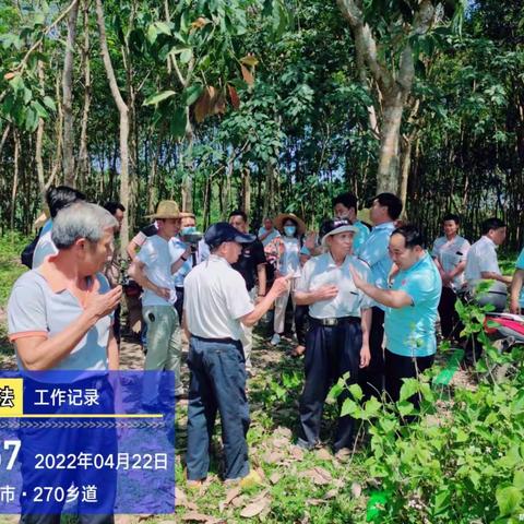 白沙县司法局打安司法所协助打安镇政府处理一宗土地纠纷