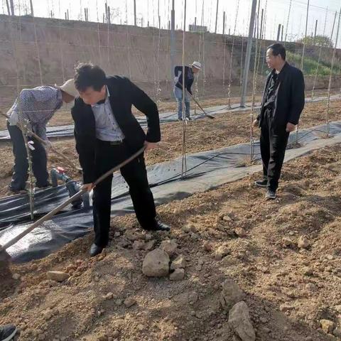 彬州市信访局深入推进脱贫攻坚“三排查、三清零”工作