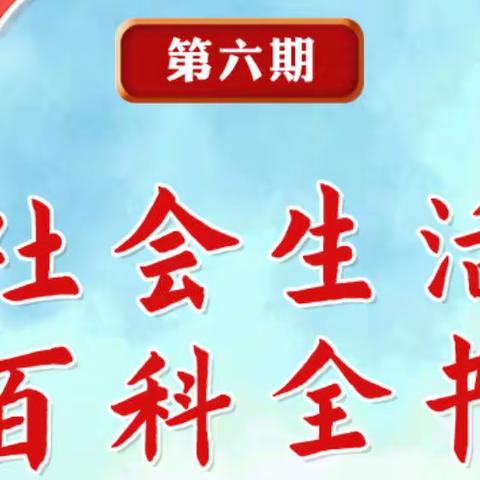 “红领巾爱学习”第四季第六期社会生活百科全书——日照市第三实验小学四年级（4）班主题课活动