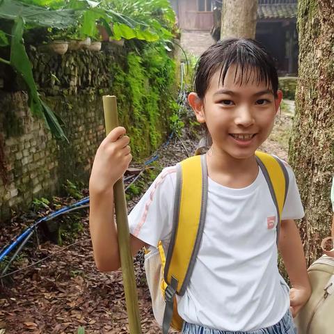 【“双争”有我】桥东里小学暑假实践活动之“暑”你爱体验—峨眉山之旅二三班段懿庭