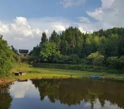 粤北山林洗肺好去处～剑华进场