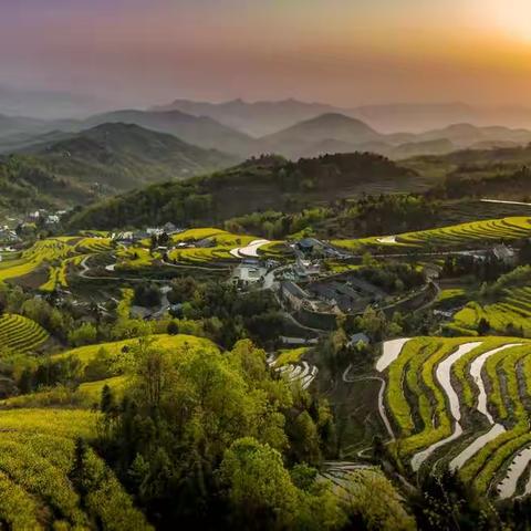 凤堰古梯田油菜花季