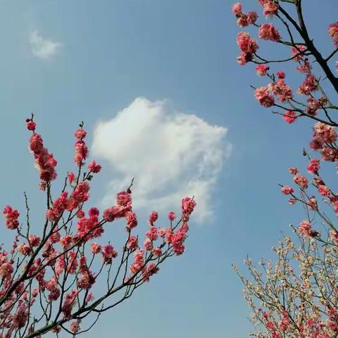 春暖花开