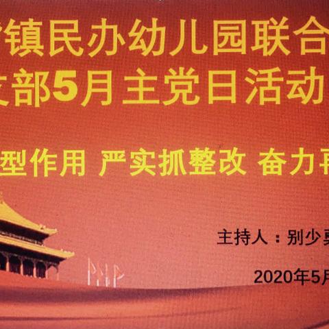 毛嘴民办幼儿园联合党支部                                                            5月主题党日活动