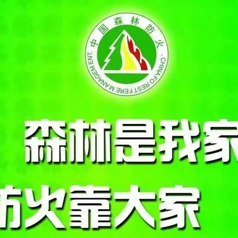 “小手拉大手，共筑防火墙”阳光小学四7中队主题活动