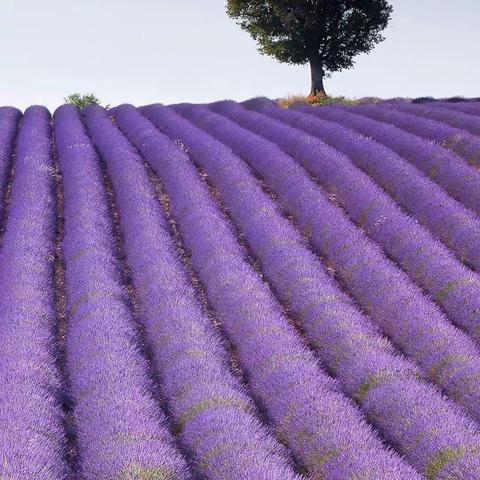 岁月虽老，心还年轻