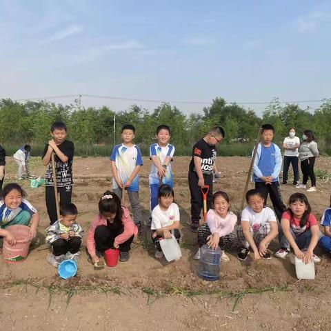走进田间地头，感受中国梦，劳动美------育才小学校三年级十二班