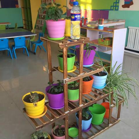 科左中旗希伯花镇巴彦召幼儿园开展植物角创设活动