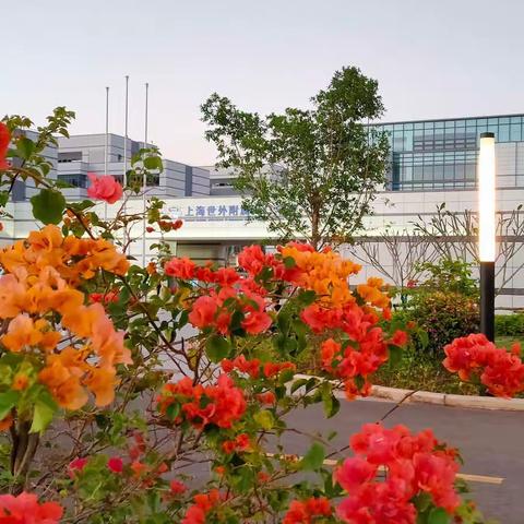 集体备课共享智慧成果，线上教研共促专业成长