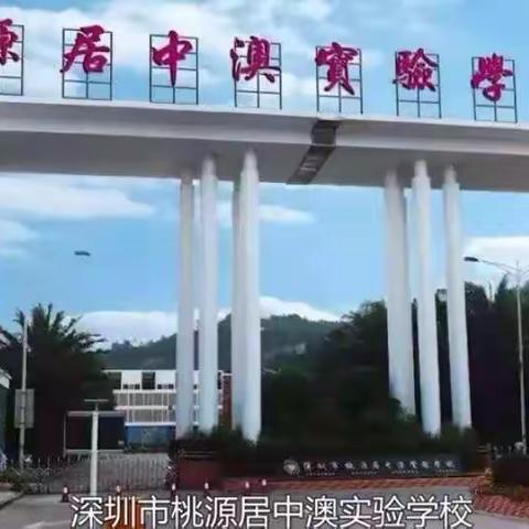 让天性绽放/中澳实验学校桃李书院国小Y1F班工作总结