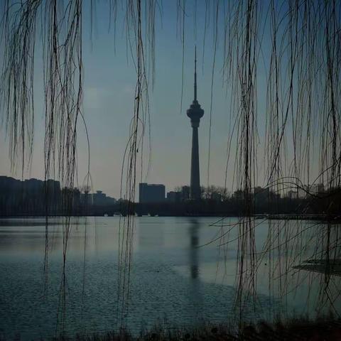 玉渊潭公园，（2022.2.27）