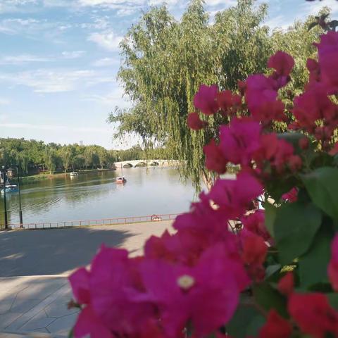 一醉一陶然2021.6.18