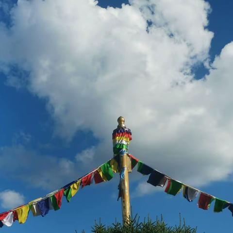 乌拉盖草原（2021）