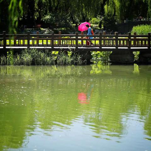 柳荫湖2022.6.21