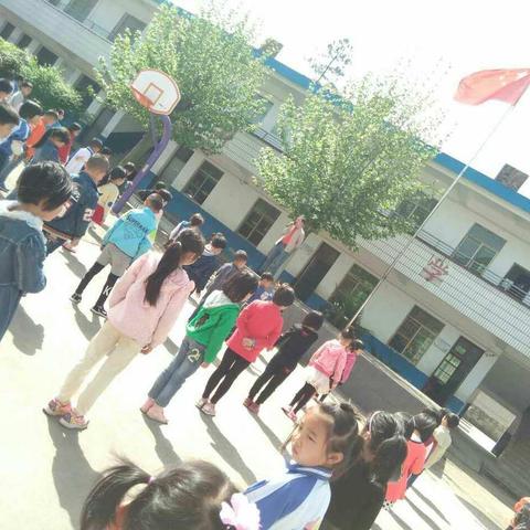 坑口小学第十周工作汇报