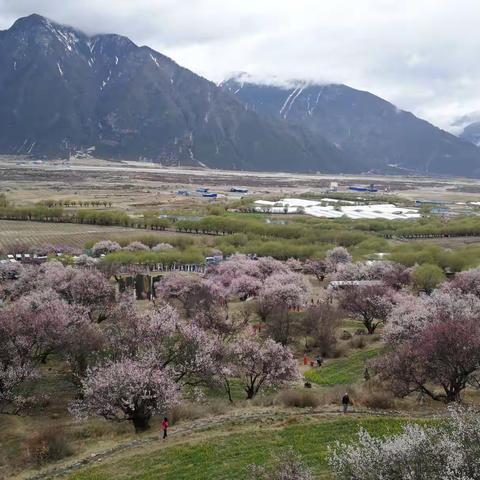 人间圣地，天上西藏......