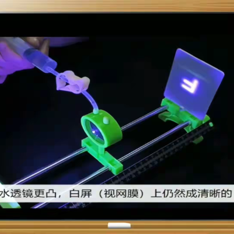 辽宁省“双减”＋新中考背景下初中生物学备、教、学、评一体化教研培训会纪实报道