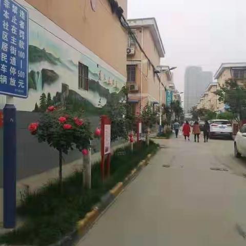 丈八南社区开展房前屋后专项整治行动