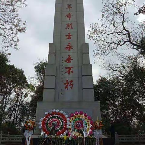 薛官屯乡后李寨小学清明节寄语