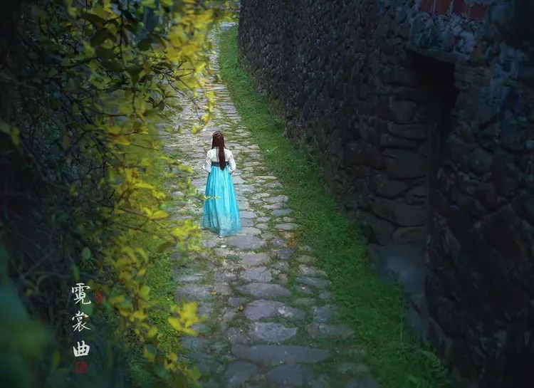 一曲琴声依花香,万般寂寥染霓裳.雪月风花,轻抚琵琶,弹不断千丝岁月
