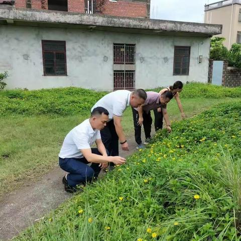 爱群村开展非法种植制毒原植物踏查专项行动