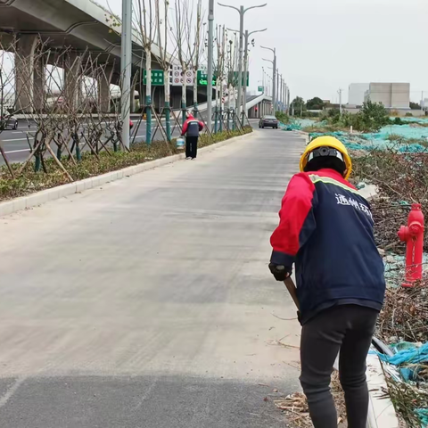 全力整治高架，保障环境卫生