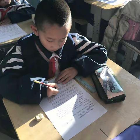 做好中国人  写好中国字—种畜场学校小学生写字质量检测