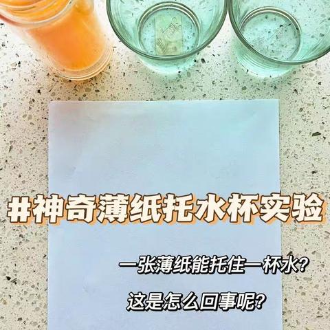 薄纸托水杯实验