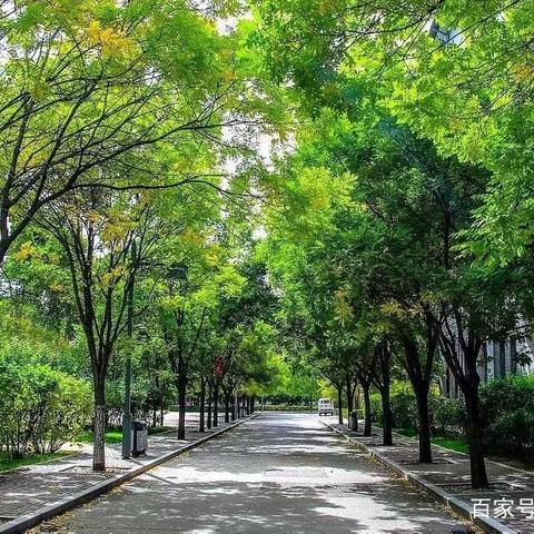 走进课堂 关注教育 一路陪伴 见证成长 ——记大同一中北校区初二年级622班家长开放日活动