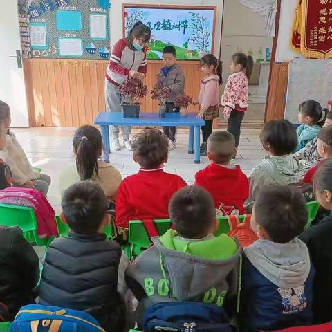沣东新城万福幼儿园—“播种希望•绿色环保”植树节主题活动
