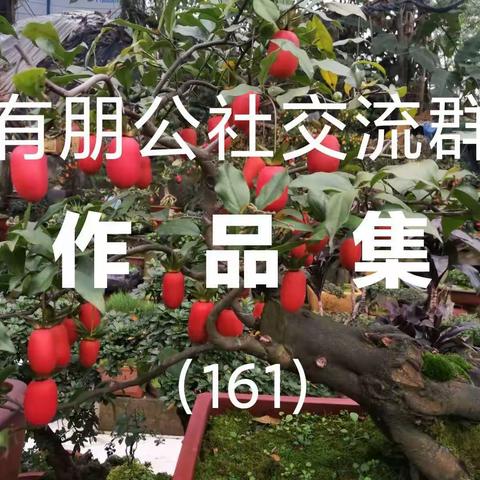 第161期《有朋公社交流群作品集》